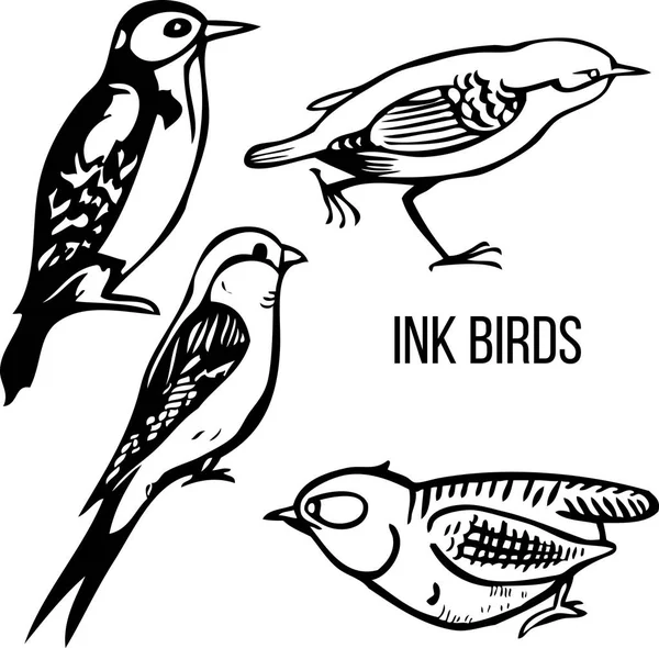 Graphiques Main Oiseaux Isolés Sur Fond Blanc — Image vectorielle