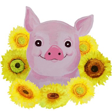 suluboya domuz ve ayçiçeği beyaz arka plan üzerinde