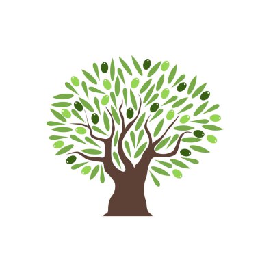 Beyaz arka plan üzerinde zeytinli vektör zeytin ağacı