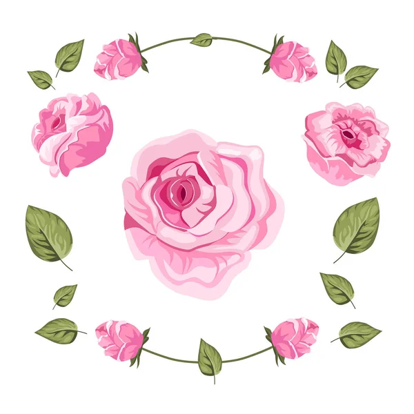 Conjunto Capullos Pétalos Rosa Ilustración Vectorial Rosa — Vector de stock