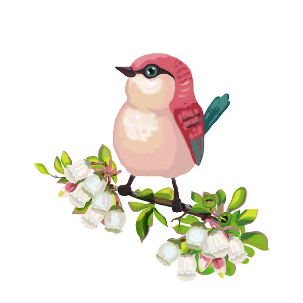 Roze Vogel Zittend Een Tak Met Bloemen Van Bosbes — Stockfoto