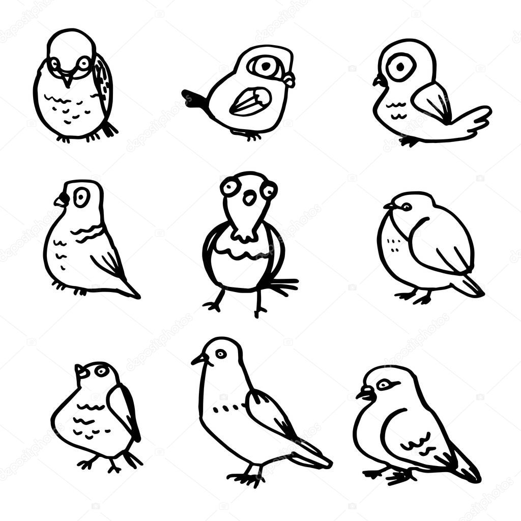 Collection of hand drawn birds on white background