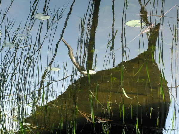 Yeniden oluşturulan viking gemi Stockholm County, İsveç Bjrk Adası Mlaren Gölü etrafında bizimkiler yaşar suların yansıtılır. 6 Haziran 2018.
