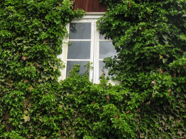 Historic Building Skansen Museum Stockholm Sweden June 2018 — Stock Photo, Image