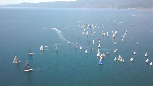 Regatta Fiumanka 2018 Vista Aérea Rijeka Croácia Vídeo De Stock Royalty-Free