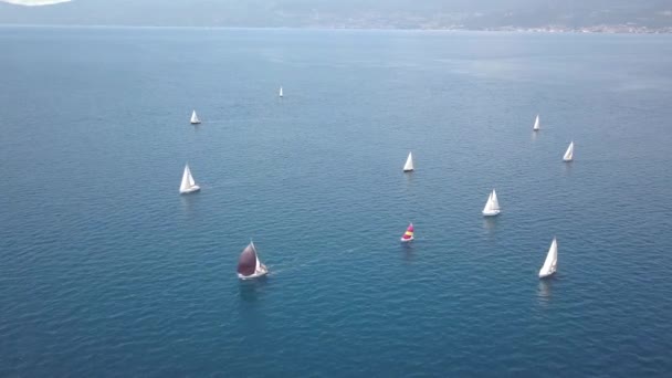 Regata Fiumanka 2018 Vista Aérea Rijeka Croacia — Vídeo de stock