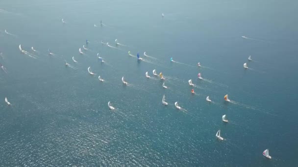 Regatta Fiumanka 2018 Vista Aérea Rijeka Croácia Videoclipe
