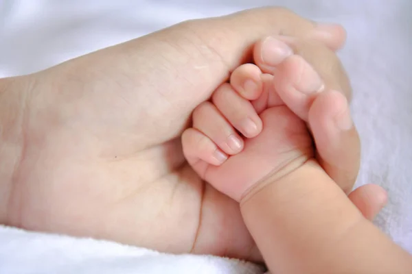 Concepto Para Recién Nacidos Los Bebés Recién Nacidos Duermen Una — Foto de Stock