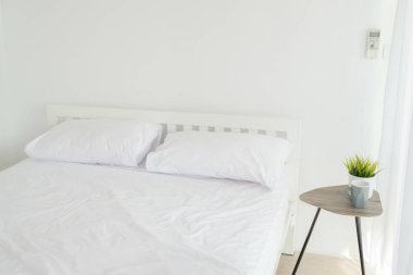 Saksılı bitki yeşil basit beyaz Oda