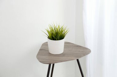 Saksılı bitki yeşil basit beyaz Oda