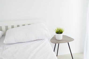 Saksılı bitki yeşil basit beyaz Oda