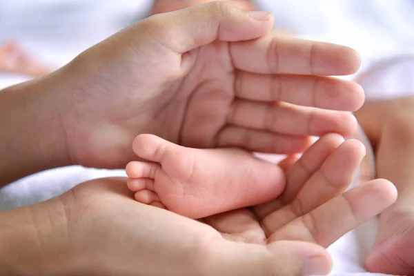 Concepto Para Recién Nacidos Los Bebés Recién Nacidos Duermen Una — Foto de Stock