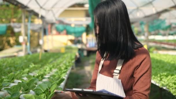 Conceitos Agrícolas Jardineiros Estão Pesquisando Crescimento Planta Resolução — Vídeo de Stock