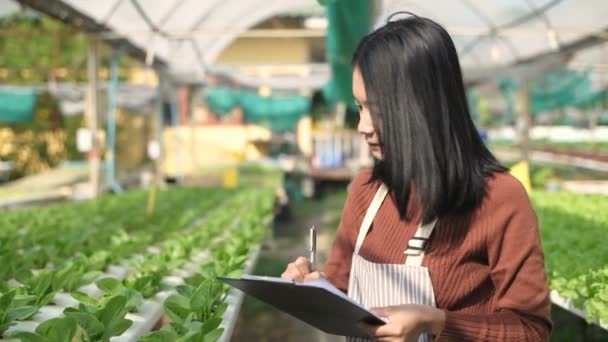 Koncepcje Rolnictwa Rolnicy Nagrywają Codzienną Pracę Ogrodzie Rozdzielczość — Wideo stockowe