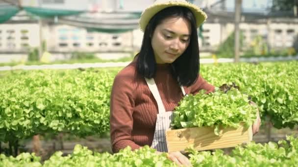 Landwirtschaftliche Konzepte Landwirte Beliefern Kunden Garten Mit Produkten Auflösung — Stockvideo