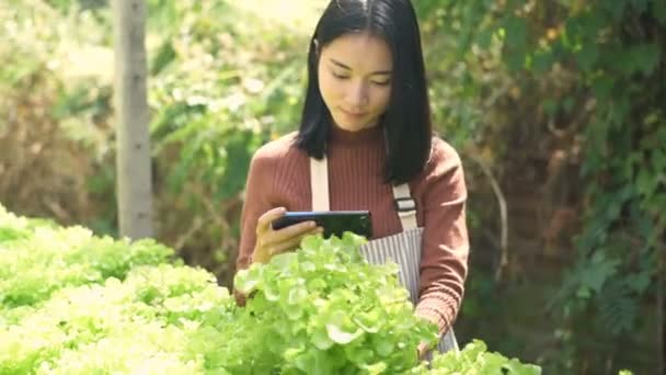 Tarım Kavramları Bahçıvanlar Cep Telefonlarıyla Sebze Fotoğrafları Çekiyor Çözünürlüğü — Stok video