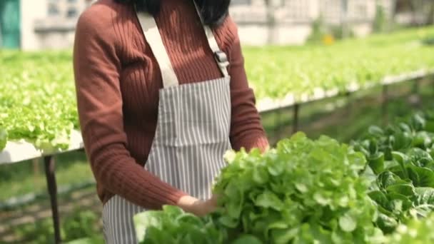 Landbouwconcepten Boeren Oogsten Producten Tuin Resolutie Van — Stockvideo