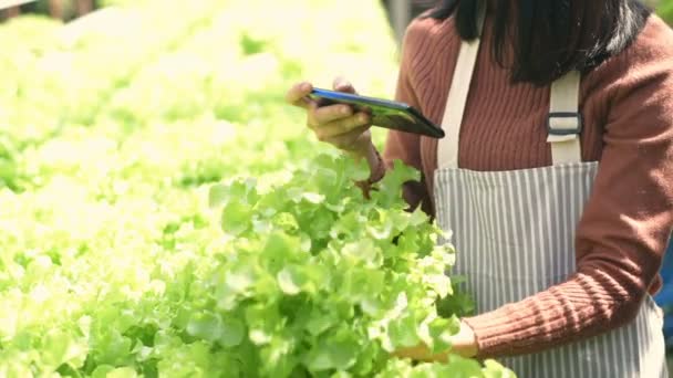 農業の概念 庭師は 顧客がオンラインで見るための野菜を提供しています 4K分解能 — ストック動画