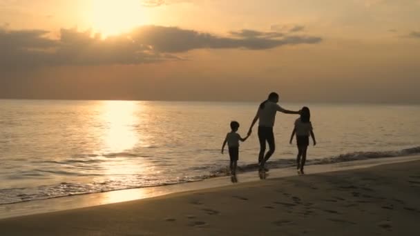 Silhouette Una Madre Bambino Che Passeggiano Sulla Spiaggia Sera Risoluzione — Video Stock