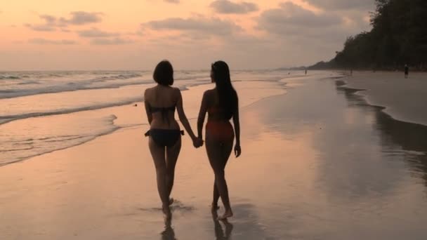 Seyahat Konsepti Sahilde Yürüyen Iki Kızın Silueti Çözünürlüğü — Stok video