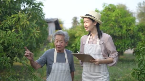 Conceptos Agrícolas Una Anciana Está Enseñando Jardinería Mujeres Jóvenes Jardín — Vídeo de stock