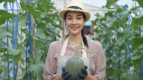 Tarım Kavramları Genç Bayan Bahçede Ellerindeki Meyveyi Isteyerek Teslim Ediyor — Stok video