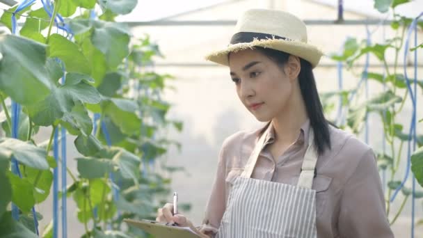 Conceptos Agrícolas Mujeres Asiáticas Registrando Investigaciones Jardines Melón Resolución — Vídeo de stock