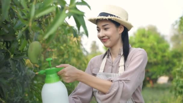 Konsep Pertanian Wanita Asia Menyuntikkan Hormon Kebun Resolusi — Stok Video