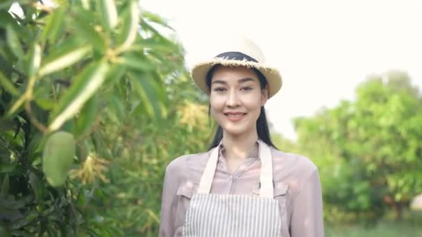 Konsep Pertanian Wanita Asia Sangat Percaya Diri Dengan Pertanian Mangga — Stok Video