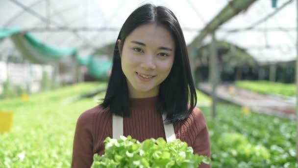 農業の概念 庭師は庭で作物を推薦しています 4K分解能 — ストック動画