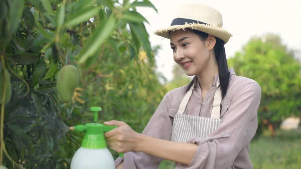 Konsep Pertanian Wanita Asia Menyuntikkan Hormon Kebun Resolusi Stok Foto
