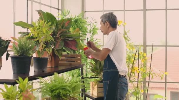 Mezőgazdasági Koncepció Kertészek Örömmel Öntözik Növényeket Felbontás — Stock videók