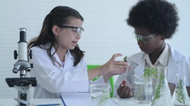 Eğitim konsepti. Genç öğrenciler bilim bilgisiyle deney yapıyorlar. 4k Çözünürlüğü.