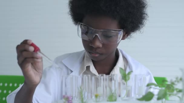 Eğitim Konsepti Çocuk Bitkinin Özünü Test Tüpünde Test Ediyordu Çözünürlüğü — Stok video