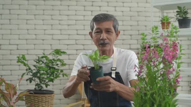 Landwirtschaftskonzept Die Bauern Sprechen Die Kunden Videoanruf Auflösung — Stockvideo