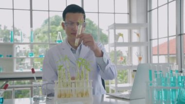 Bilim konsepti. Araştırmacılar bitki yetiştirme konusunda deneyler yapıyorlar. 4k Çözünürlüğü.