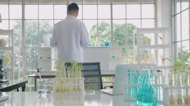 Bilim konsepti. Bilim adamları bir laboratuvarda veri topluyor. 4k Çözünürlüğü.