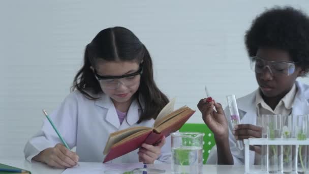 Eğitim Konsepti Öğrenciler Laboratuvarda Bitkilerle Deney Yapıyorlar Çözünürlüğü — Stok video