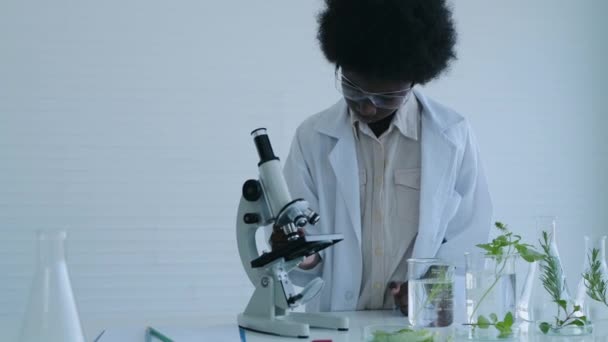 Utbildningskoncept Liten Vetenskapsman Forskar Växter Upplösning — Stockvideo
