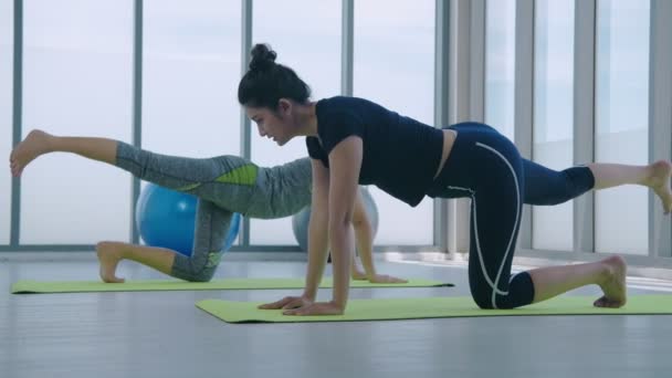 Conceito Exercício Jovens Mulheres Asiáticas Exercitando Ginásio Resolução — Vídeo de Stock