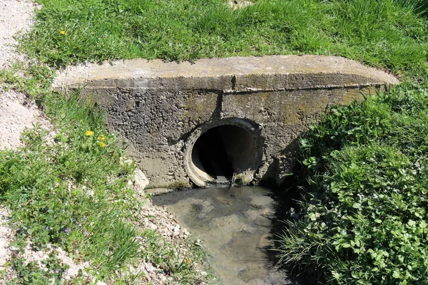 コンクリートの下水管出口が覆われ 暖かい晴れた日に未カットの草や小さな花に囲まれたコンクリートの壁に取り付けられました — ストック写真