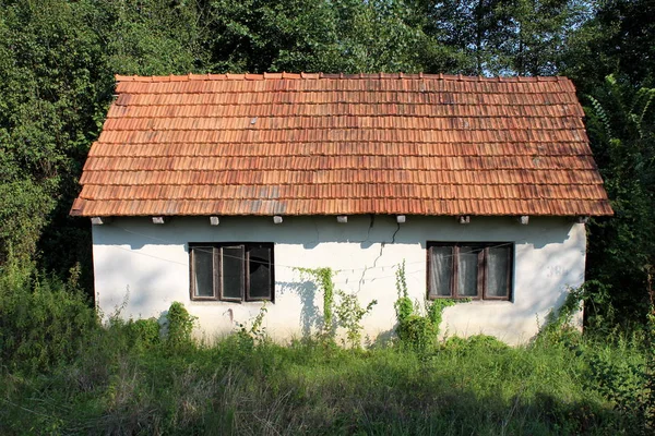 Покинутий Невеликий Сімейний Будинок Тріснутим Фасадом Зламаними Вікнами Повністю Оточений — стокове фото