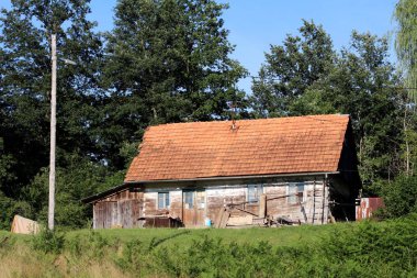 Small wooden house with dilapidated roof tiles and wooden boards next to tall wooden electrical pole surrounded with uncut green grass, small vegetation with forest and clear blue sky in background