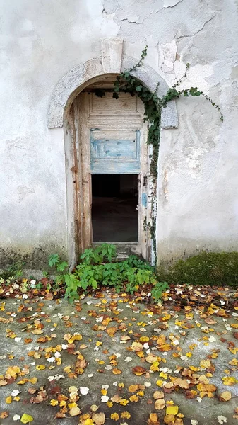 植物や落ちた褐色の紅葉に覆われた前のコンクリートの庭で部分的に壊れ 生い茂った木製のドアを通ってバックドア城の入り口 — ストック写真