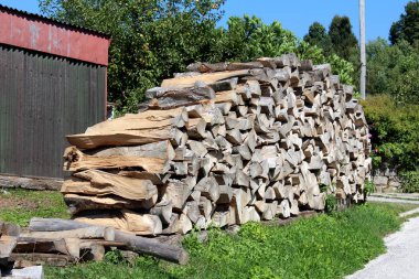 Soğuk kış günleri için hazırlanan odun, arka planda kesilmemiş çim ve uzun ağaçlar ile çevrili döşeli yolun yanında tek satırda birlikte yığılmış