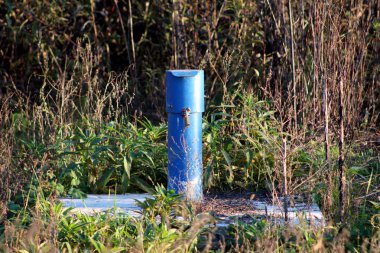 Yüksek kesilmemiş çim ve kurutulmuş bitkiler ile çevrili sert beton temeli üzerinde asma kilit kilitli kapak ile güçlü endüstriyel metal mavi boru