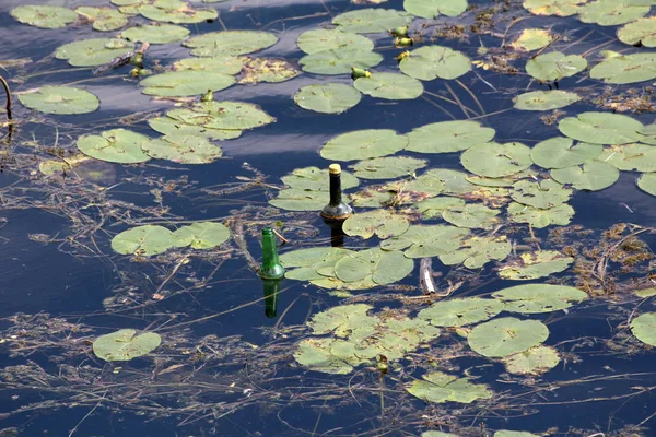 Two Glass Bottles Floating Local River Surrounded Green Leaves Fallen — Stock Photo, Image