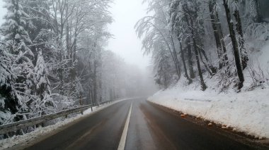 Her iki tarafta taze kar kaplı büyük uzun ağaçlar ile sis başlık kar temizlenmiş ülke yolu