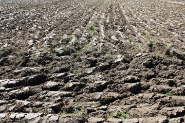 Sıcak güneşli bir gün daha fazla tarım çalışmaları ve Ekim için hazır ıslak toprak ile taze sürülmüş alan