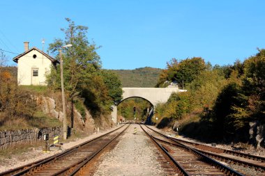 Düz mavi gökyüzü arka planda her tarafında sinyal ışıkları ve yoğun ağaçlar ile çakıl ve demiryolu anahtarı mekanizması ile çevrili beton Köprüsü altında gidiyor demiryolu izler